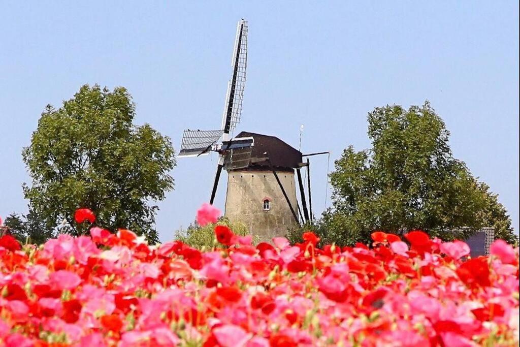-Nieuw- Luxe & Sfeervol Vakantiehuis Tholen Luaran gambar