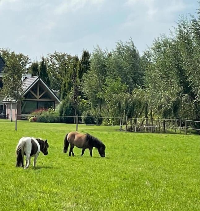 -Nieuw- Luxe & Sfeervol Vakantiehuis Tholen Luaran gambar